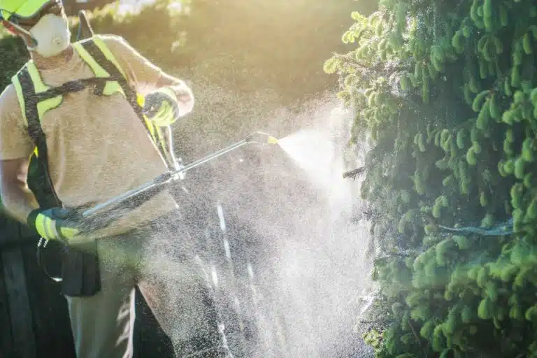 dosage roundup pour 5 litres d eau 1